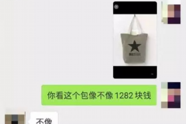 吴兴为什么选择专业追讨公司来处理您的债务纠纷？